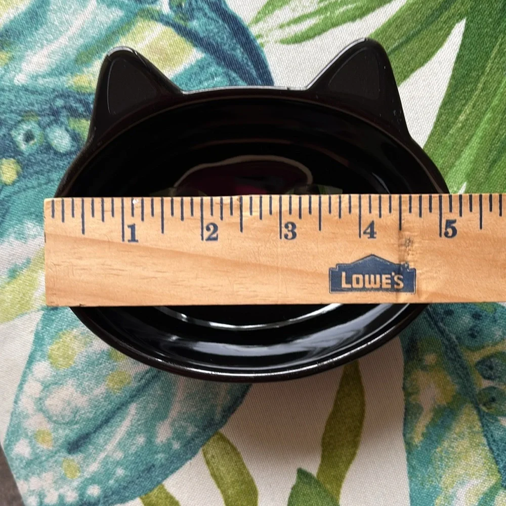 Black Cat PetRageous Designs Kitty Oval Stoneware Food Bowl for Cats Halloween
